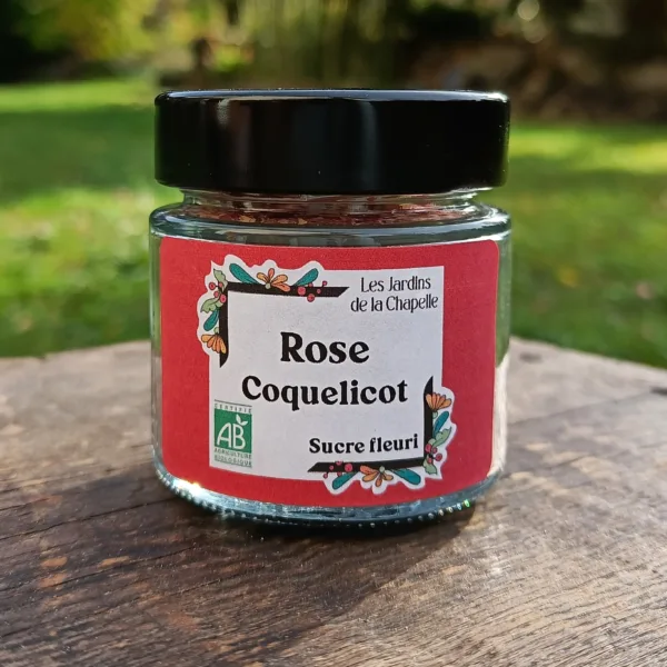 Sucre fleuri en pot
